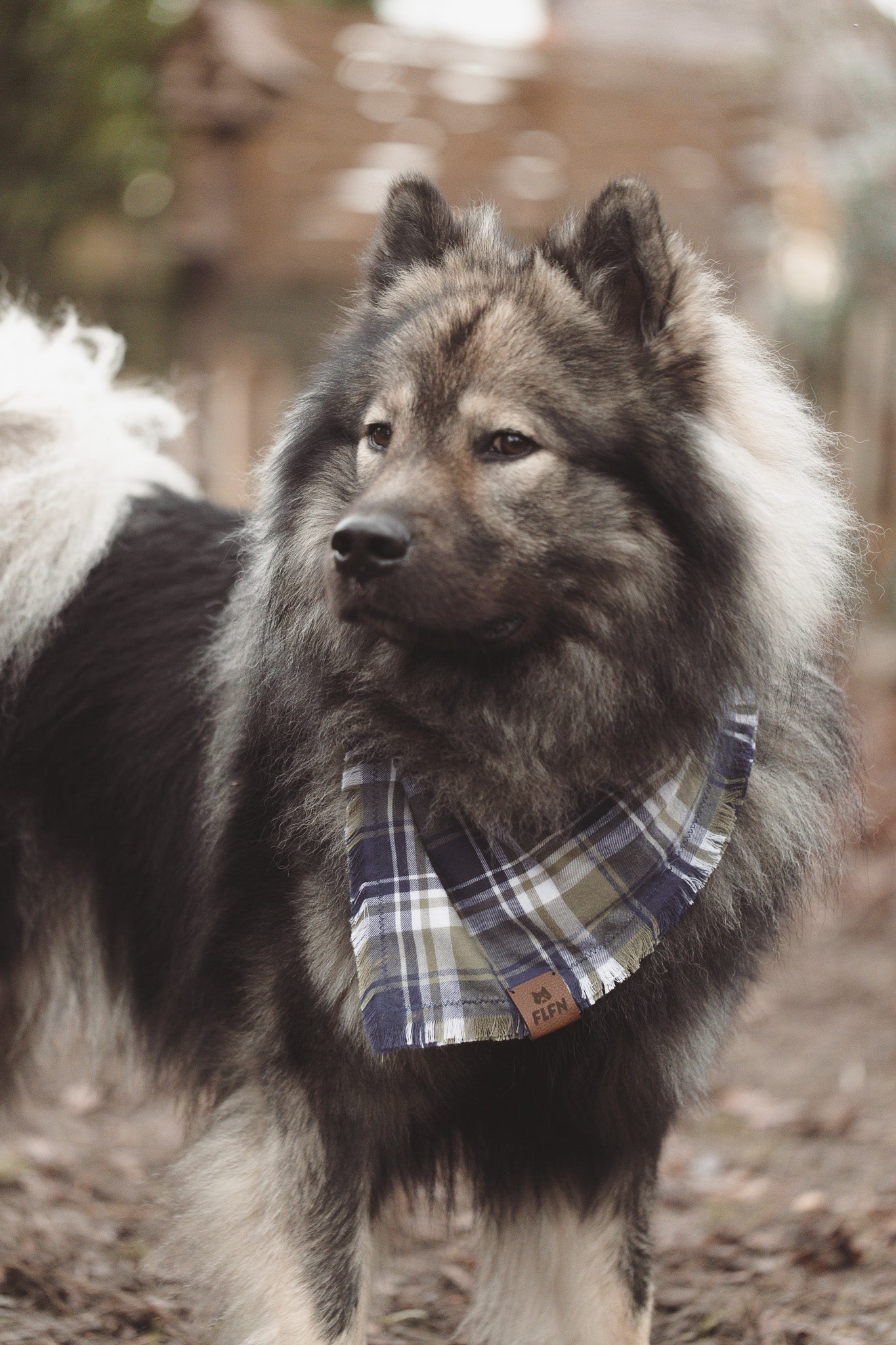 Hundehalstuch aus Flanellstoff