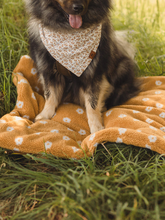 Handgemachte Hundedecke für Zuhause & unterwegs