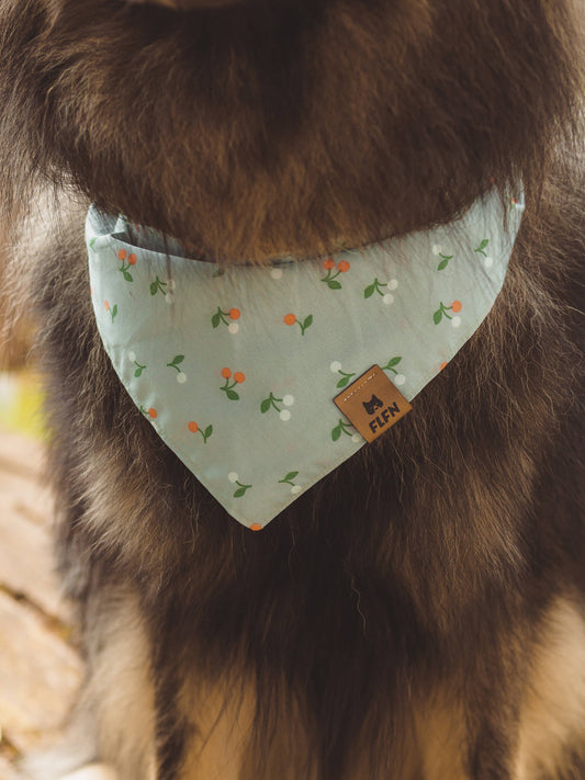 Hundehalstuch im Landhausstil