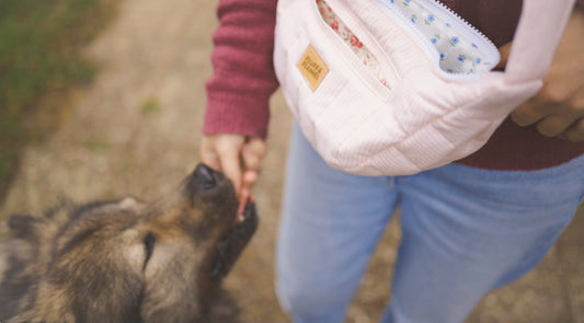 Was gehört in eine Gassitasche? Unsere Checkliste für entspannte Spaziergänge mit Hund