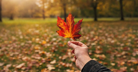 5 kleine Herbstrituale für gemütliche Tage 🍂