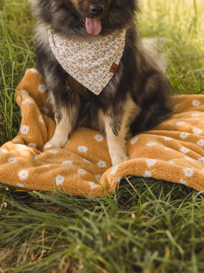 Handgemachte Hundedecke für Zuhause & unterwegs