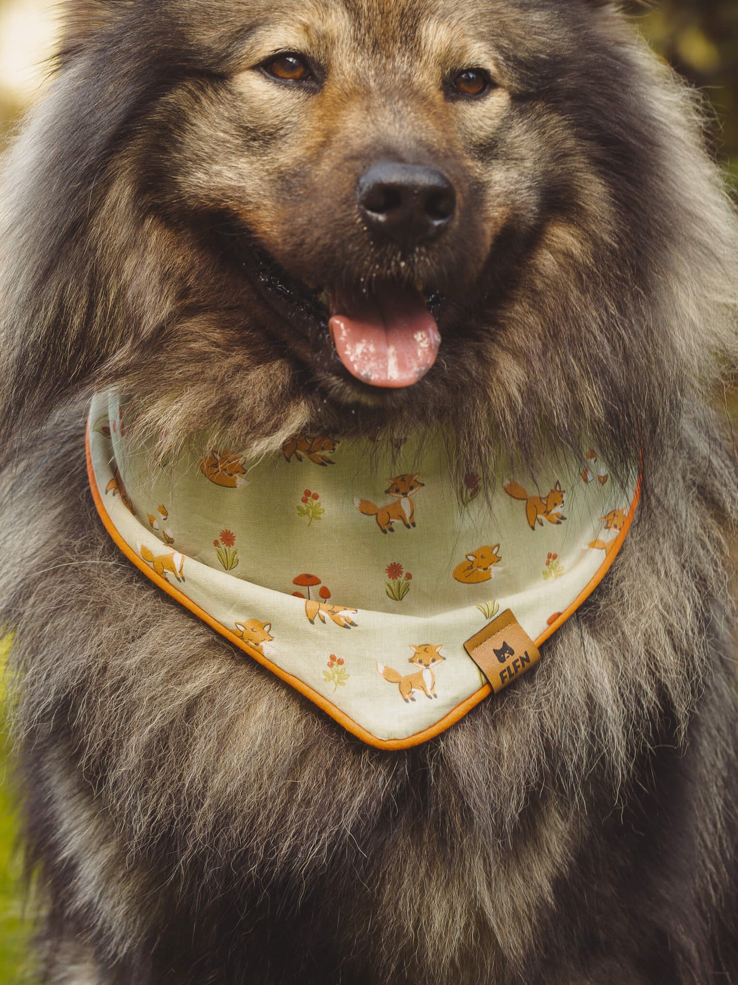 Hundehalstuch mit Paspelband