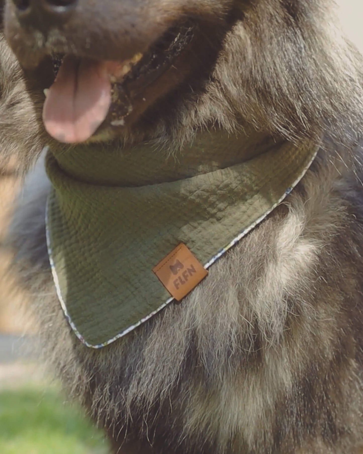 Hundehalstuch mit Paspelband